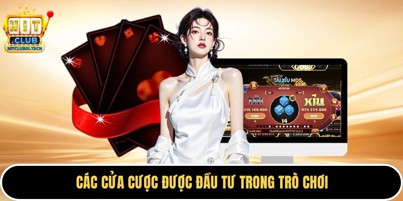 Các cửa cược được đầu tư trong trò chơi